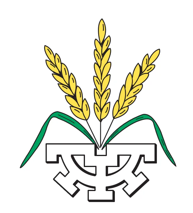 STRICKER & CIE AG